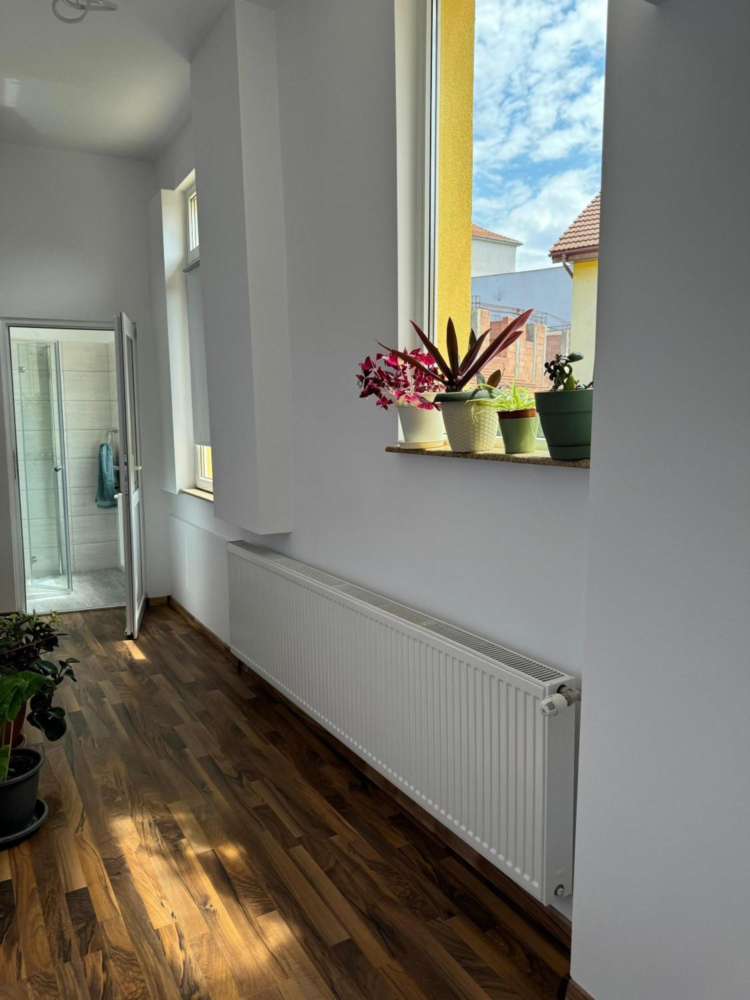 Apartament Victoria تيميشورا المظهر الخارجي الصورة
