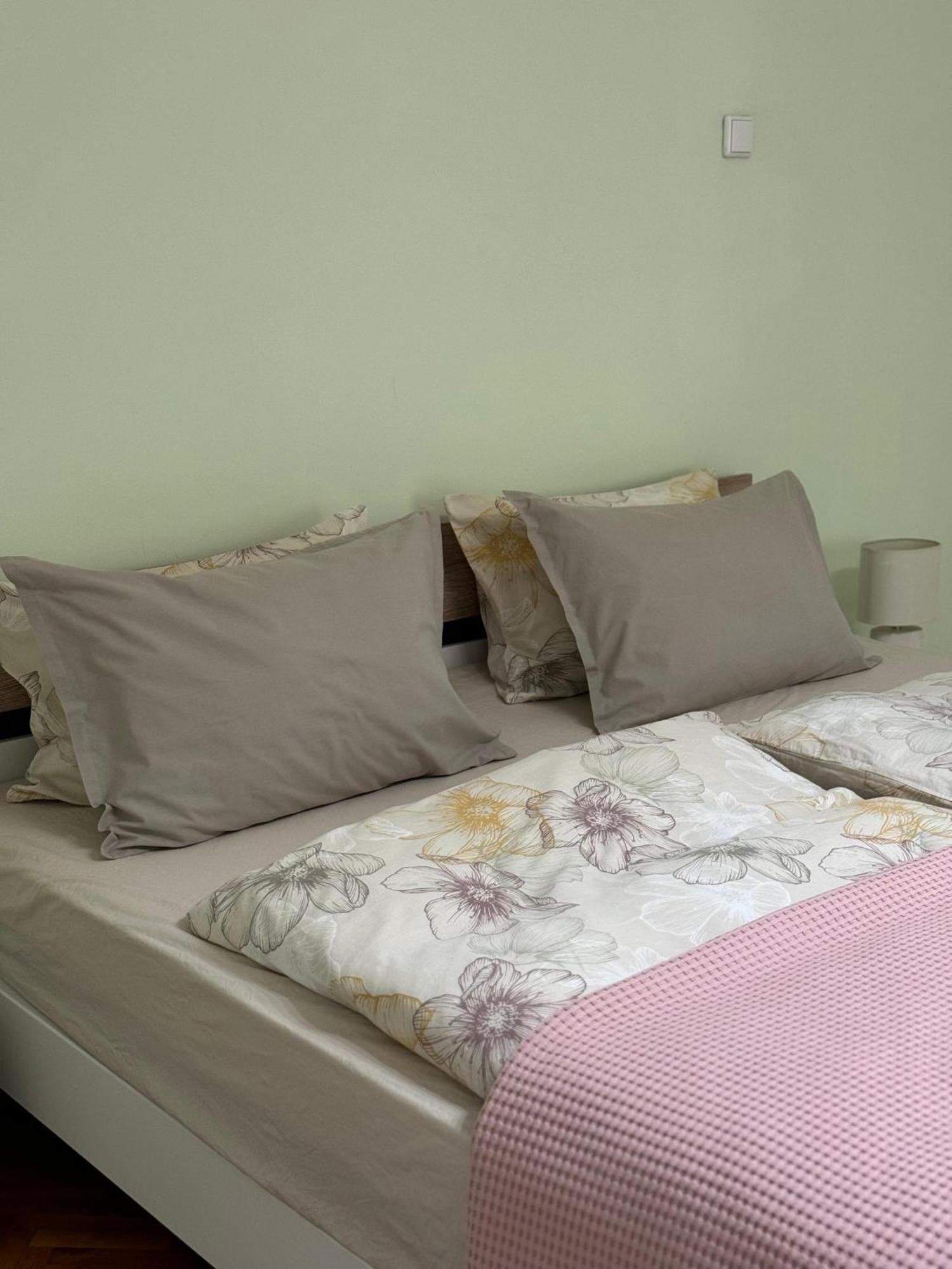 Apartament Victoria تيميشورا المظهر الخارجي الصورة